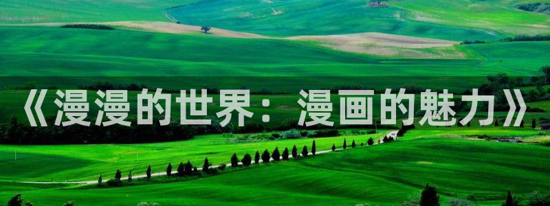 耽漫网：《漫漫的世界：漫画的魅力》
