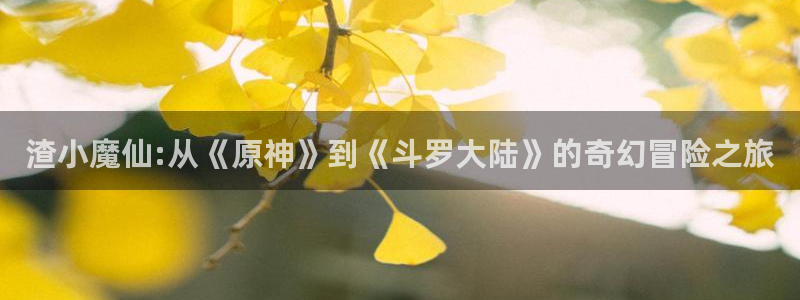 耽漫网官网：渣小魔仙:从《原神》到《斗罗大陆》的奇幻冒险之旅