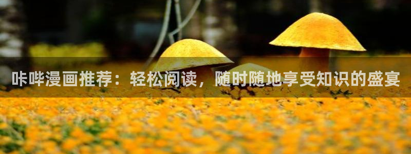 耽漫网之家动漫之家