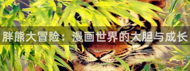 耽漫网免费：胖熊大冒险：漫画世界的大胆与成长