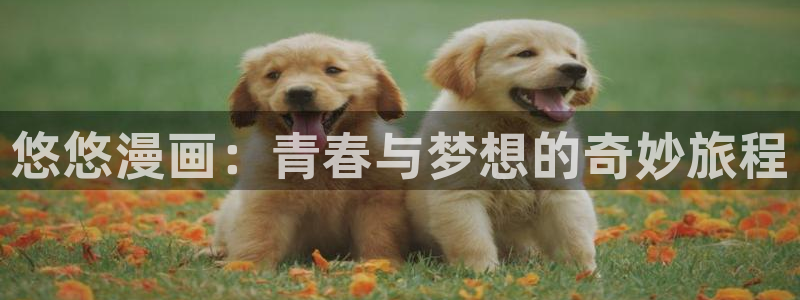 耽漫网官网：悠悠漫画：青春与梦想的奇妙旅程