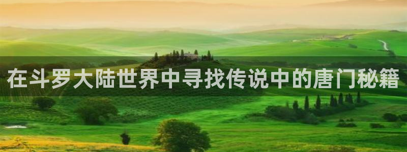 耽漫网之家官网入口