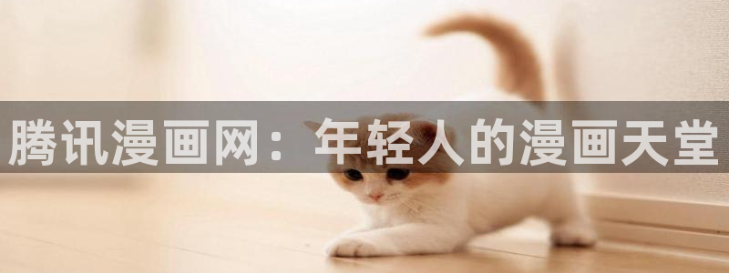 耽漫网之家